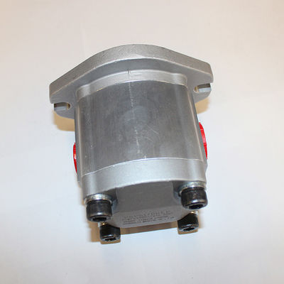 食品グレードの潤滑油転送のための携帯型ステンレス鋼電気110V220Vギアポンプ